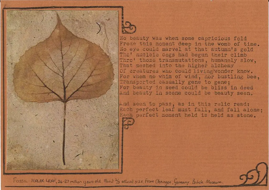 Picture of fossilised leaf with handwritten sonnet